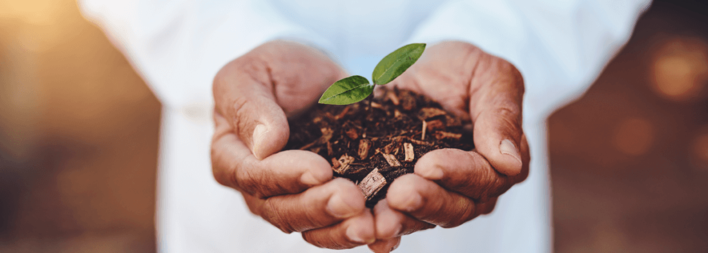 5 Steps to Conserve and Sustain Rural Healthcare-Part 1 EHR